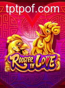 Descubra a Emoção de RoosterInLove